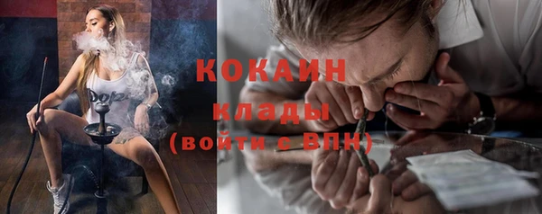 ешки Алексин