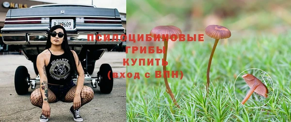 таблы Магадан