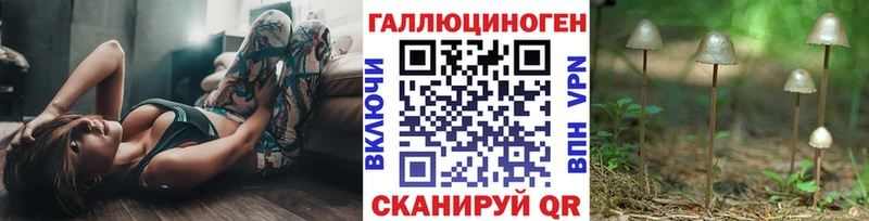 купить наркотики сайты  кракен   Галлюциногенные грибы Psilocybine cubensis  Железногорск 